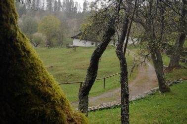 IMG_20200501_141233_resized_20200502_105638117