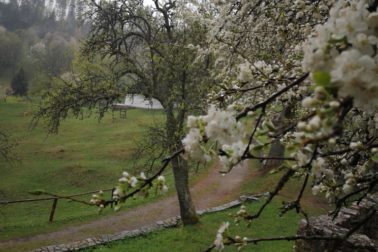 IMG_20200501_141250_resized_20200502_105656635