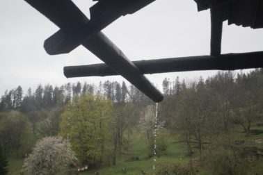 IMG_20200501_141551_resized_20200502_105725293