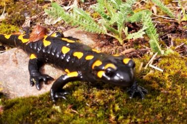 IMG_20200501_154646_resized_20200501_094812192