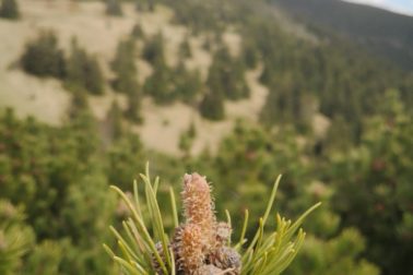 IMG_20200509_152817_resized_20200509_113401285