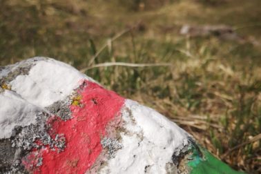 IMG_20200509_153128_resized_20200509_113422917