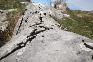 IMG_20200509_153721_resized_20200509_113527084