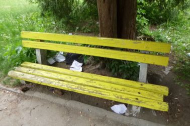 park dnes5