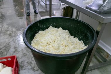 101682879_3108096355943381_4045400752317792256_o