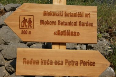 104668594_10214977490104933_4151883804505771986_o