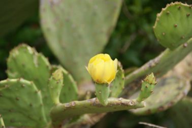 104787661_10214977488544894_6433227766204907956_o