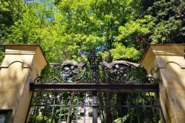 IMG_20200606_141845_resized_20200606_115534161