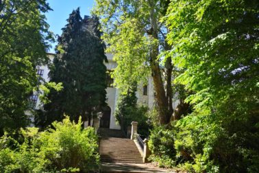 IMG_20200606_141955_resized_20200606_115549686