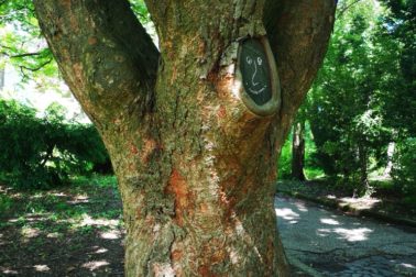 IMG_20200606_142334_resized_20200606_115607784