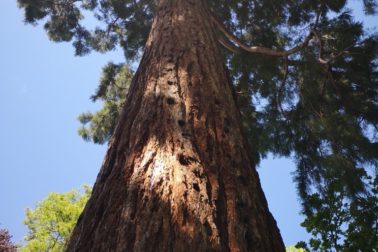 IMG_20200606_142456_resized_20200606_115632381