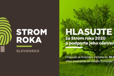 hlasujte