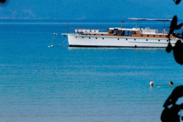 117629271_10215332480379468_8273443427130799740_o