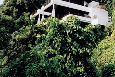 117659754_10215332483659550_6478695494838874133_o