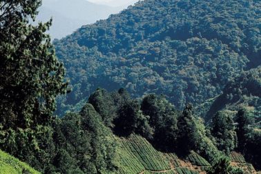 117895760_10215332482659525_3047067099057236366_o