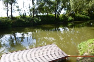 118523815_10215403460113917_4163275203355622663_o