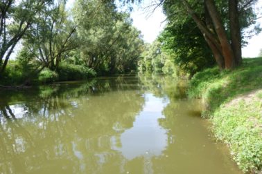 118535169_10215403449073641_5672677010895028509_o