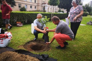 IMG_20200814_135955_resized_20200815_100511821