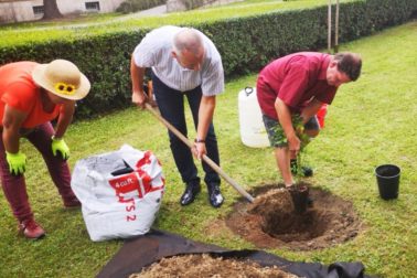 IMG_20200814_140036_resized_20200815_100528947