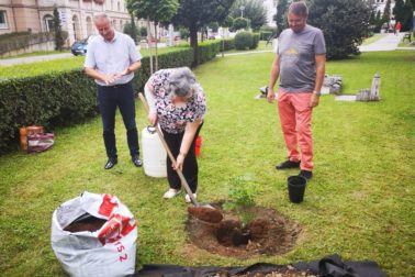 IMG_20200814_140113_resized_20200815_100602449