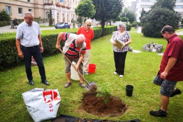 IMG_20200814_140227_resized_20200815_100616987