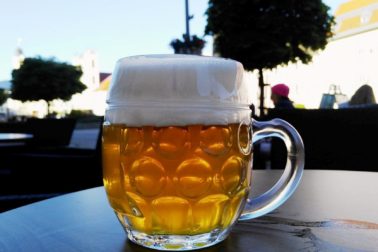 pivo1