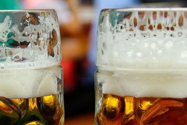pivo6