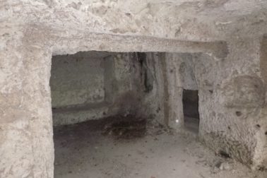 119167867_10215492290774628_1823074485404076130_o