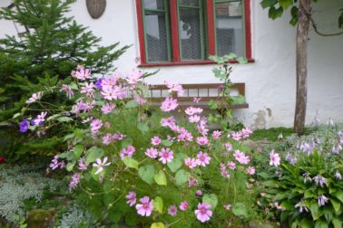 119215450_10215492291494646_2822447846519354567_o