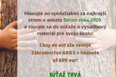 sutaz pre skoly plagat