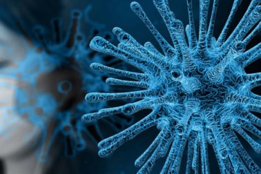 virus
