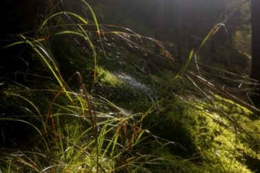 IMG_20201010_124408_resized_20201010_095913753