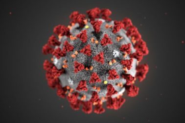 koronavirus1