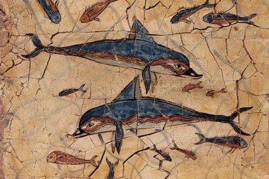 123438067_10215757043273275_8133896688447400203_o