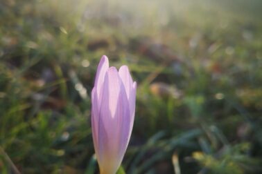 IMG_20201107_151632_resized_20201107_113516213