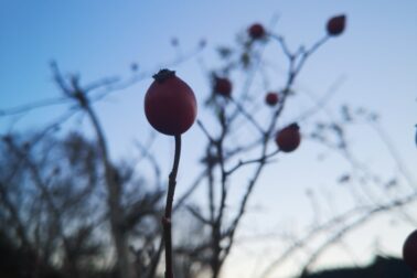 IMG_20201107_151856_resized_20201107_113502040