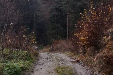 IMG_20201107_162044_resized_20201114_051833278