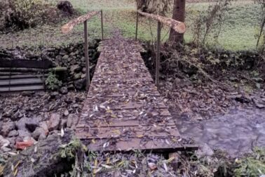 IMG_20201107_162709_resized_20201114_051815769