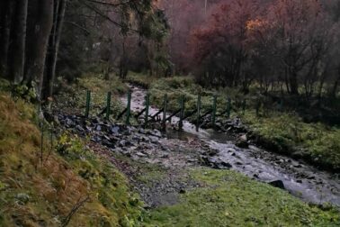 IMG_20201107_162846_resized_20201114_051748302