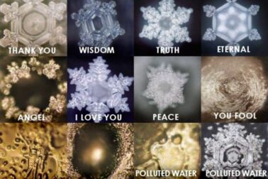 Masaru emoto