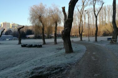 127214376_1152414278487143_1413962083358753741_o