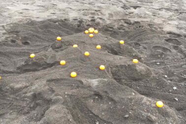 132777297_1801637923323986_3911153507268519320_o