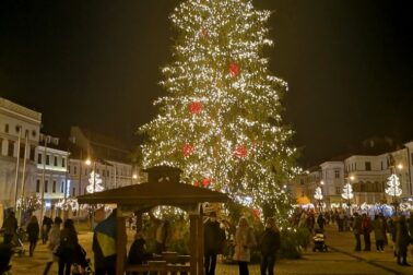 IMG_20201205_164804_resized_20201205_085953700