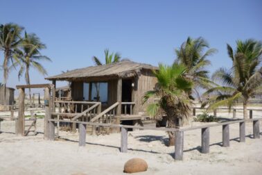 143544778_10216242965421025_2809610760871275357_o