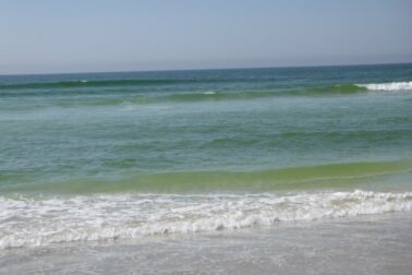 143647806_10216242967701082_550483114211540096_o