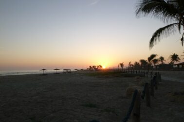 144065266_10216243003301972_1437611927948296911_o