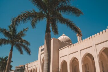 oman4