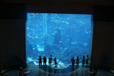 149988474_10216334154260689_2401471412770354476_o