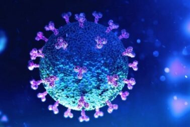 koronavirus