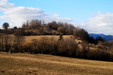 IMG_20210306_152008_resized_20210306_111827585